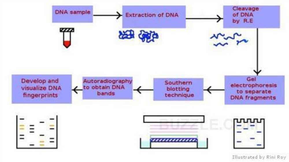 2. Paternity and Family Relationship Testing