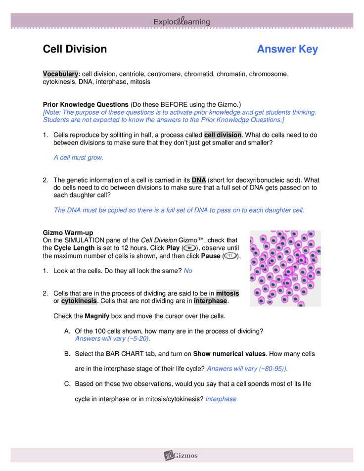 Understanding Cellular Communication: Unlocking the POGIL Answer Key