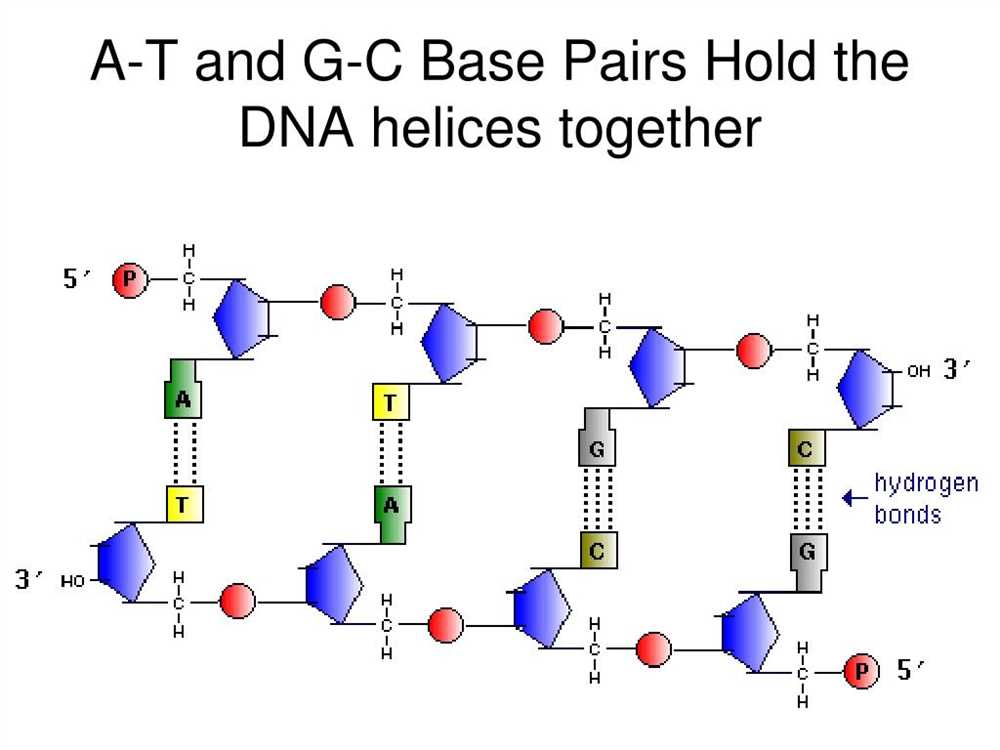 Genetics exam 2