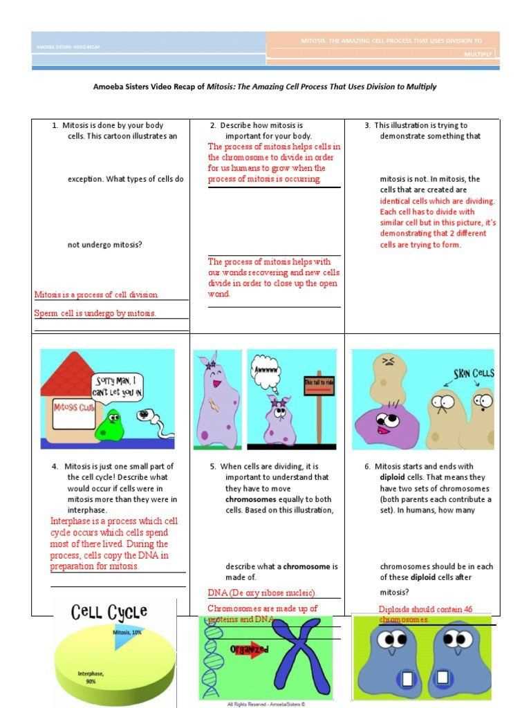 Definition and Explanation of Ecological Succession