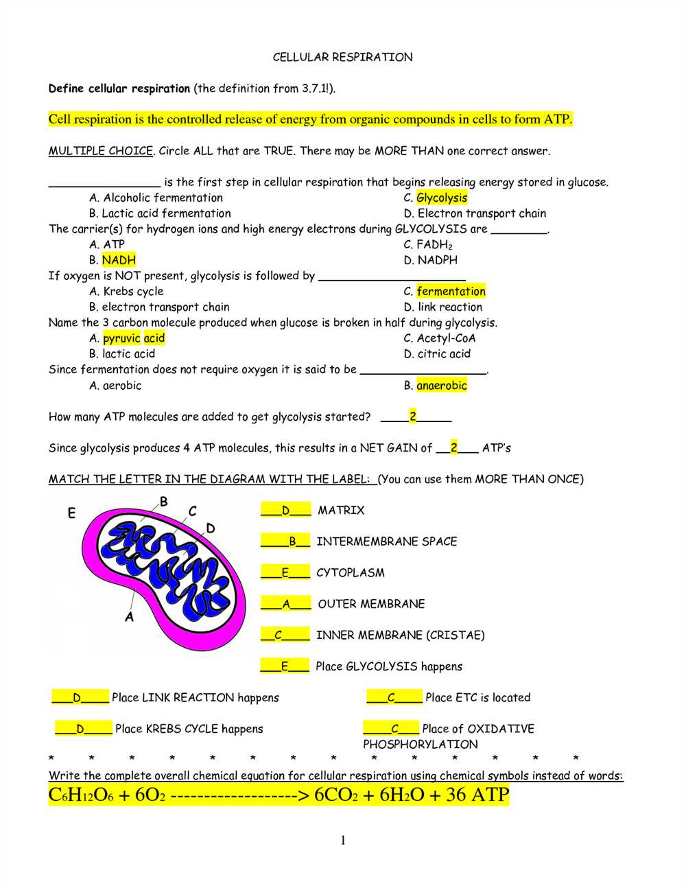 Contributors to the Cell Theory