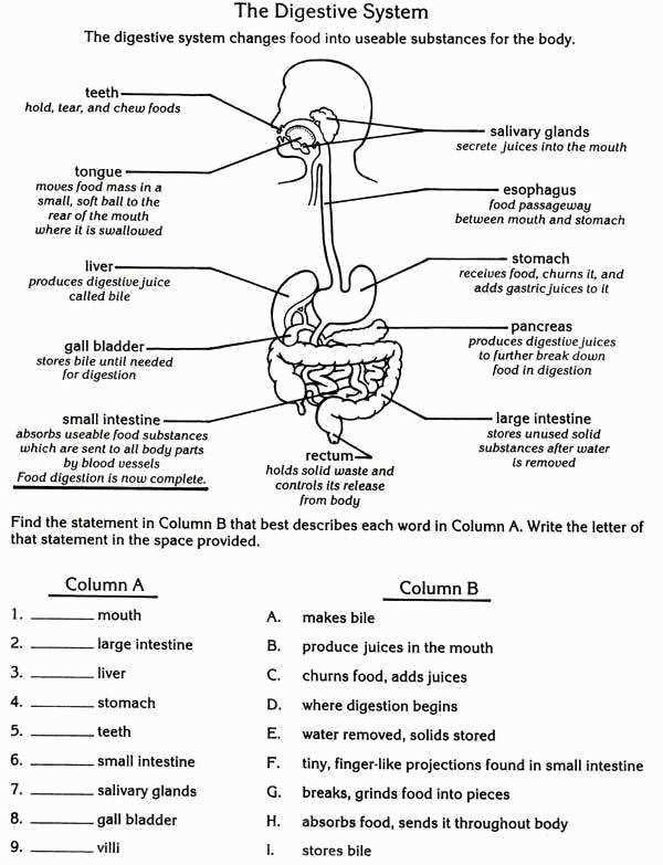 Section 4: Answer Key