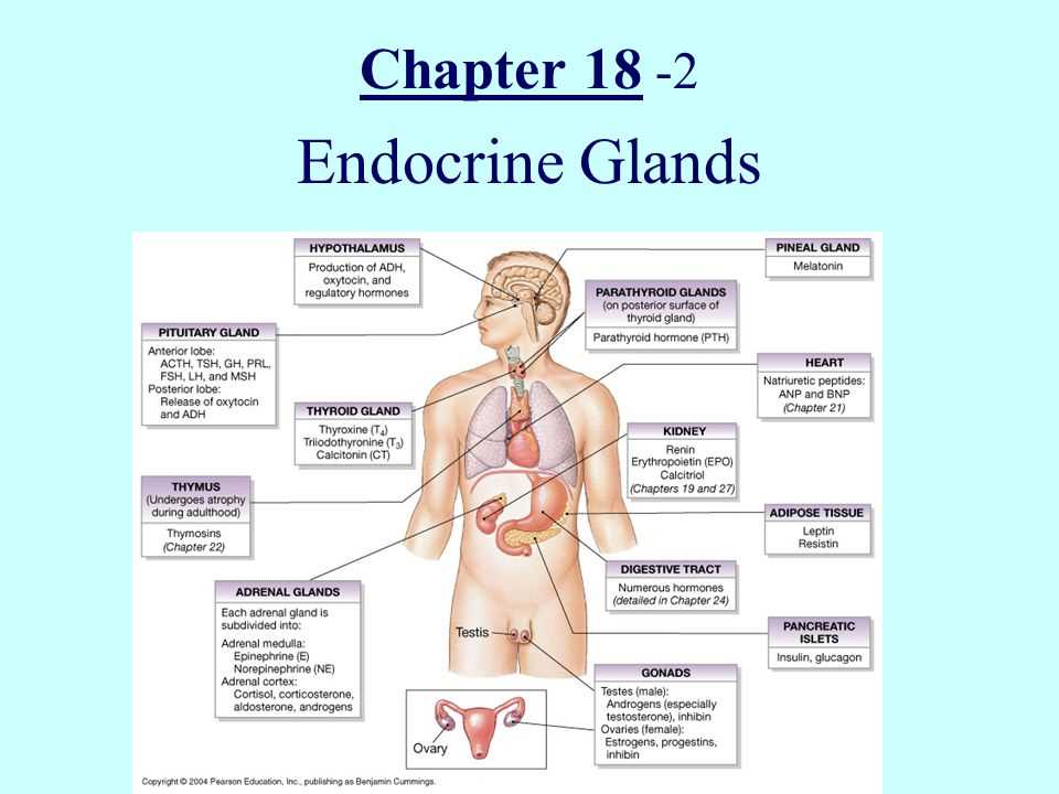 Reproductive hormone disorders