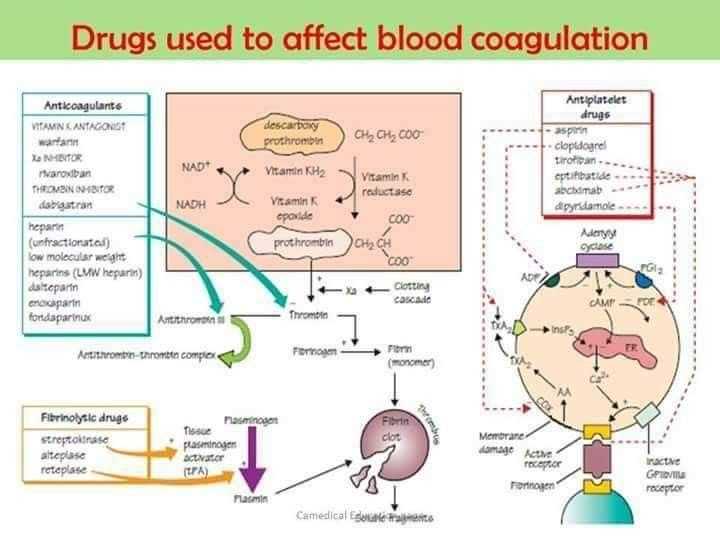 2. Ibuprofen