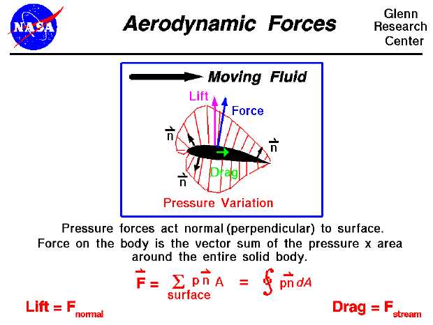 Role of Aerodynamic Forces in Flight