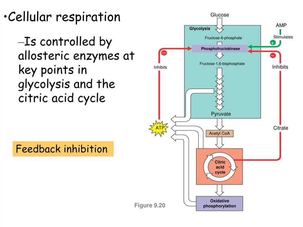 Enzyme Kinetics