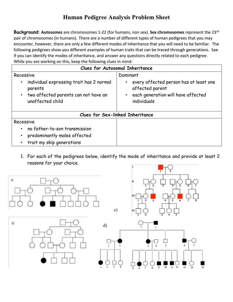 Key Concepts in Human Genetics and Pedigrees