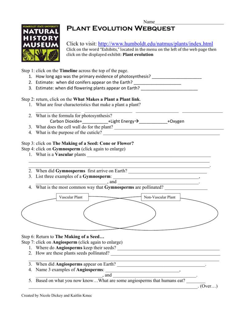 Stem cell webquest answer key