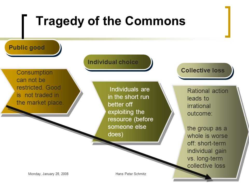 The tragedy of the commons answer key