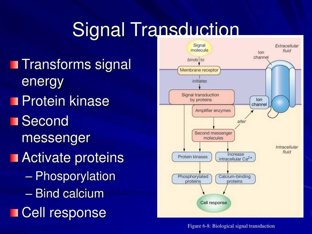 The Role of Signal Transduction in Cell Communication