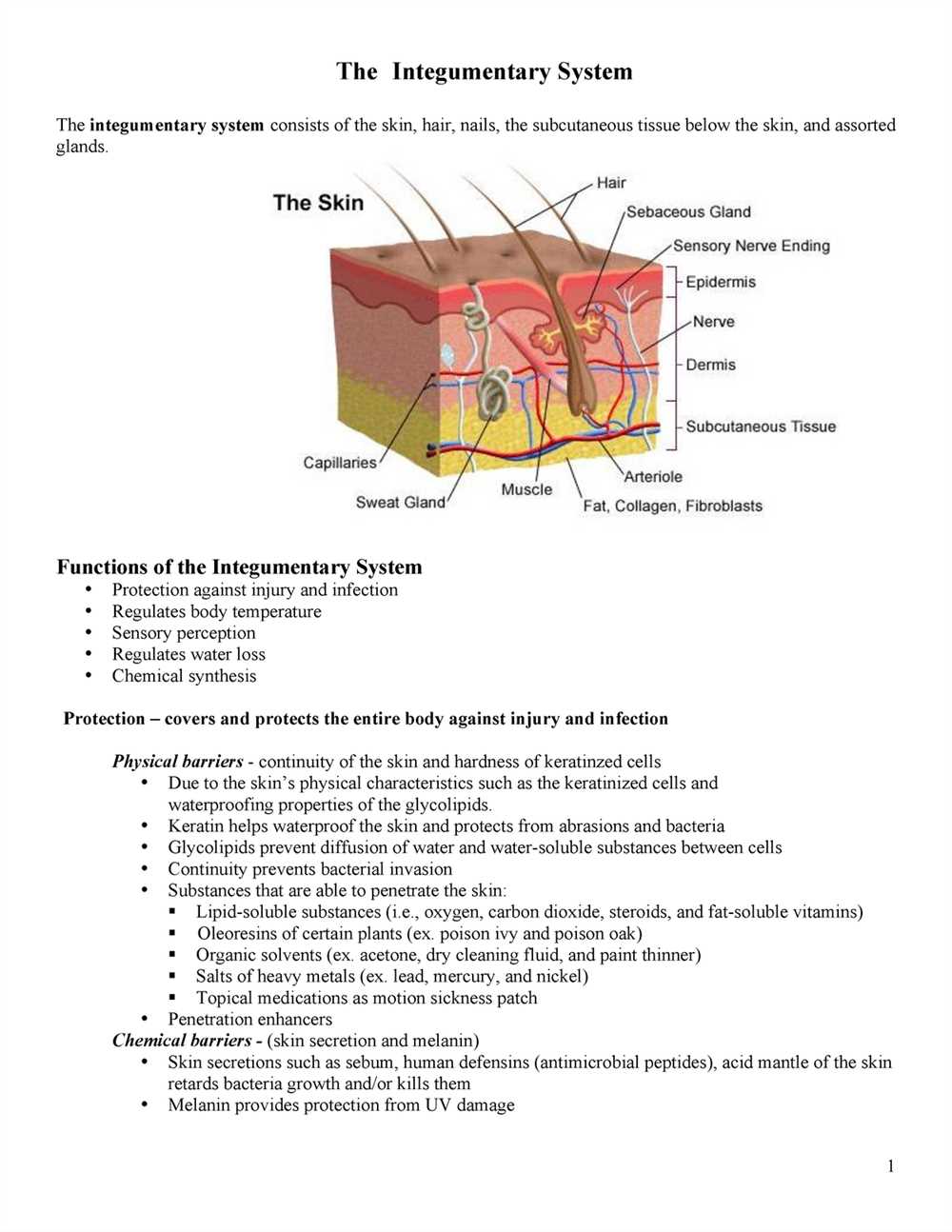 Importance of Maintaining Skin Health