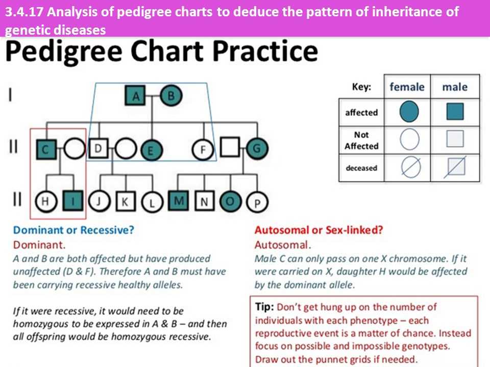 Human inheritance answer key