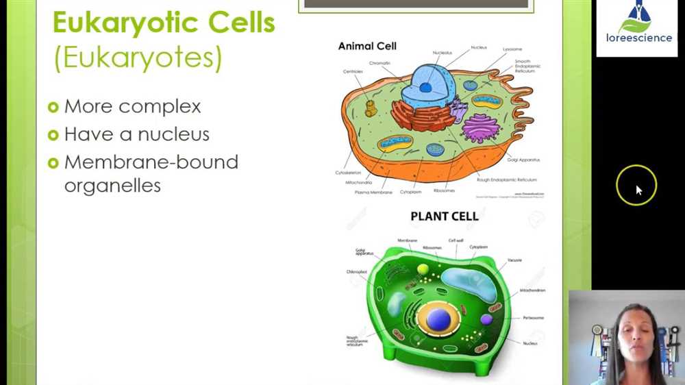 Understanding Osmosis: Explaining the Process