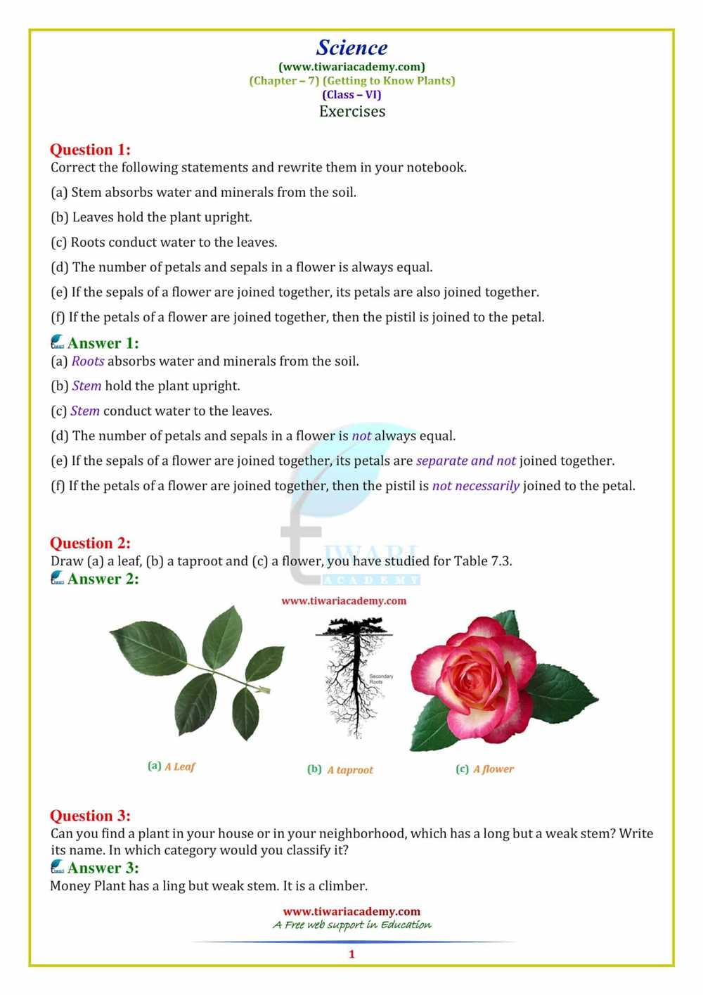 Understanding Force and Motion