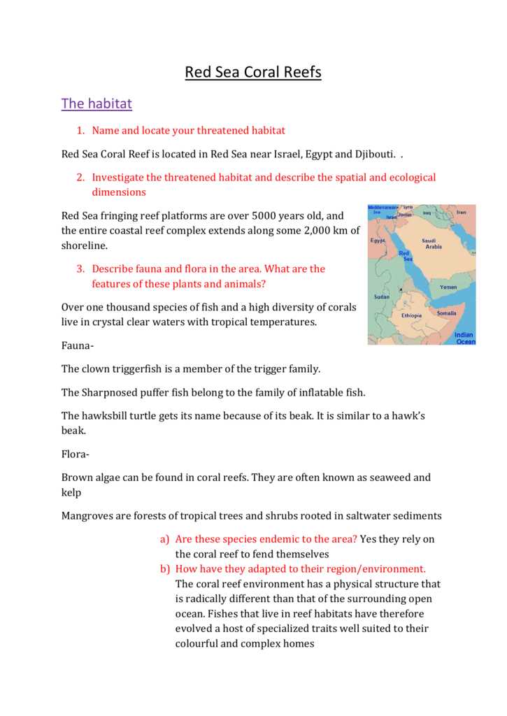 Disease spread gizmo answer key