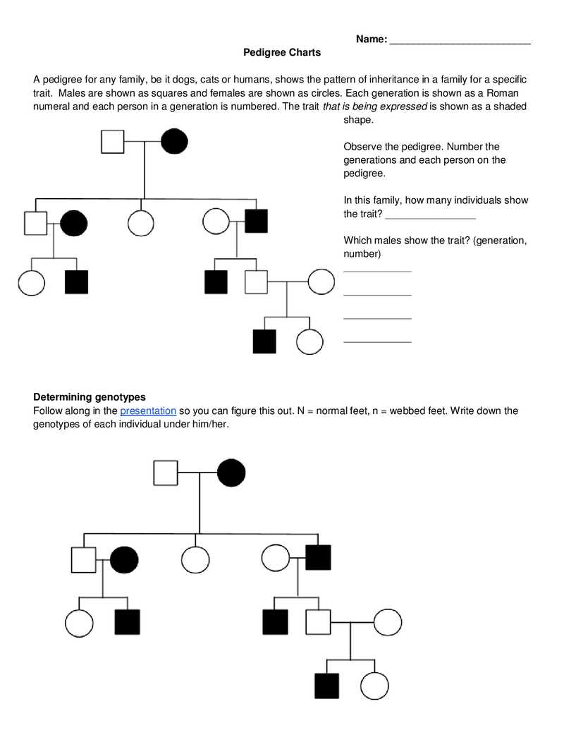 What is Human Genetics?