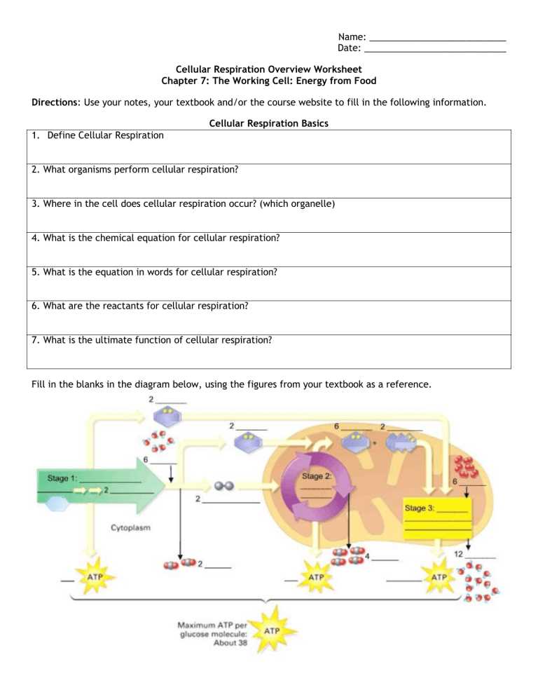 The Electron Transport Chain: Generating ATP