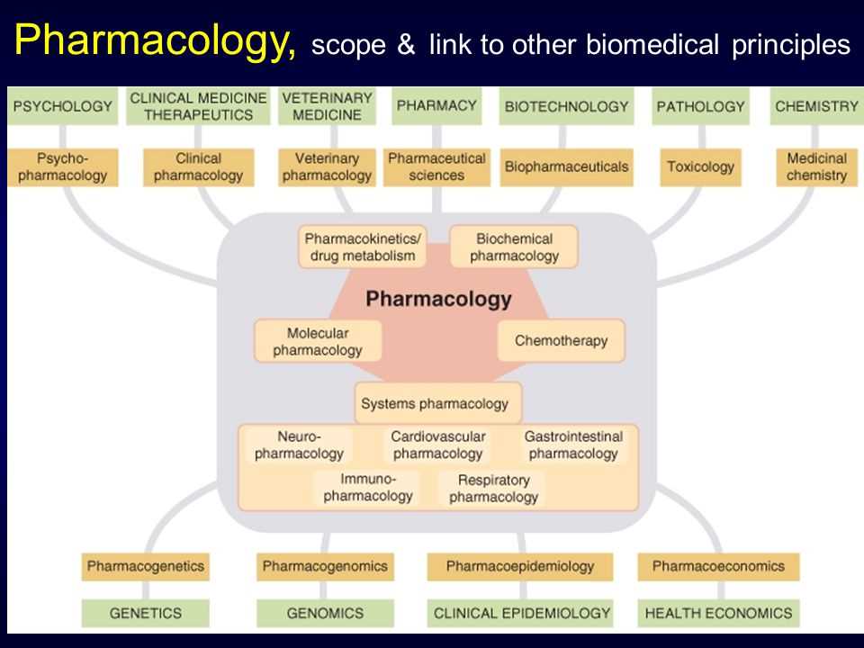 Introduction to clinical pharmacology study guide answers