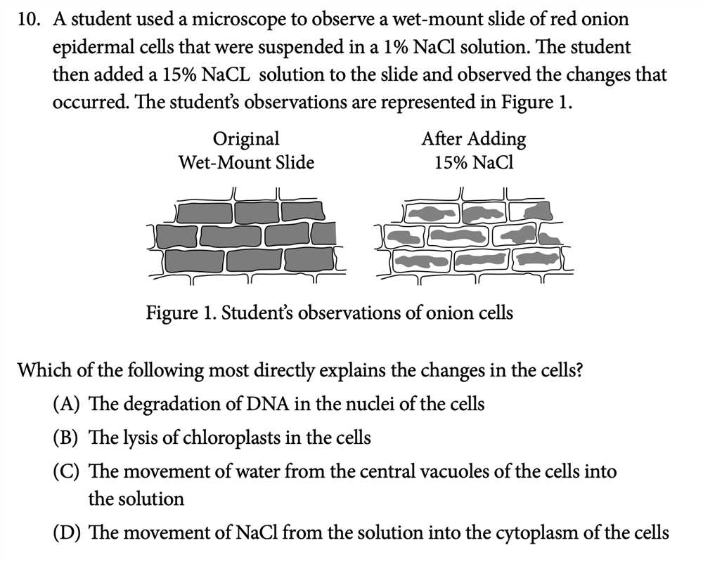 Cell size lab ap biology answer key