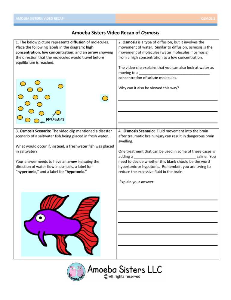 Amoeba sisters lab safety worksheet answers