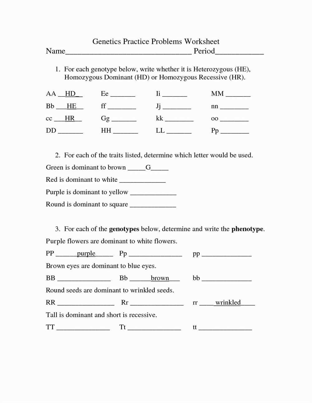 Genetics review answer