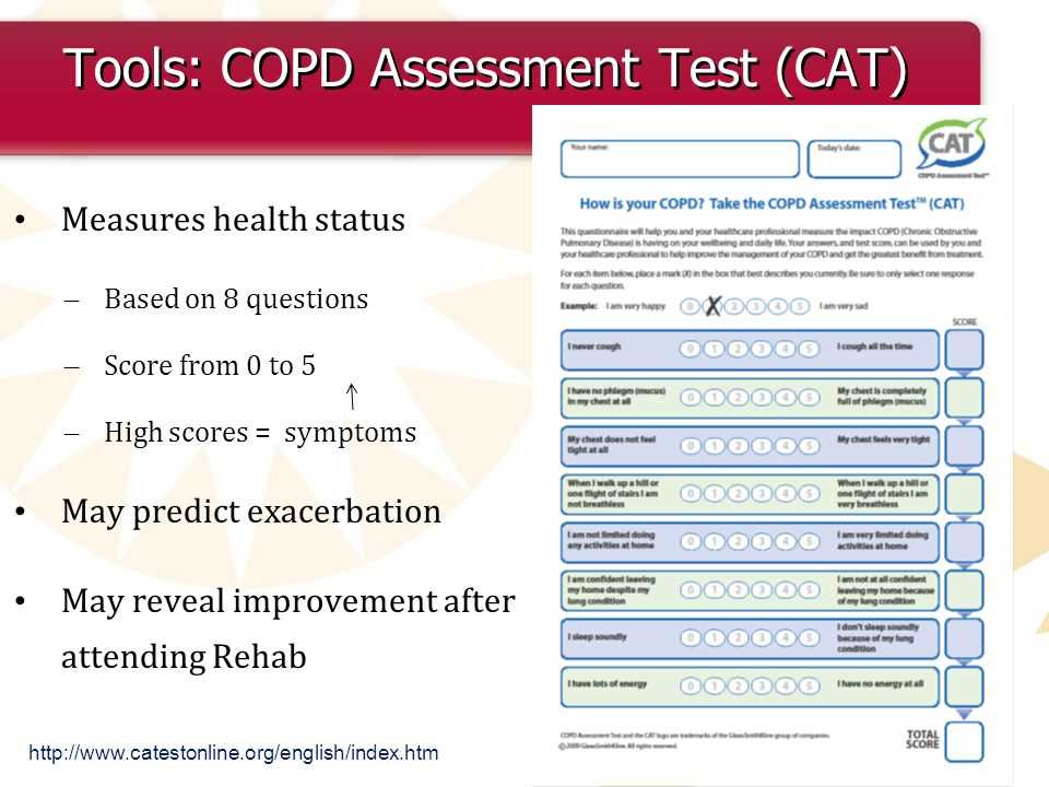 Understanding the Purpose of the Afni Assessment Test