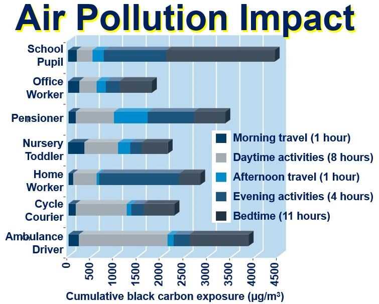 Protecting Ape Habitats from Air Pollution