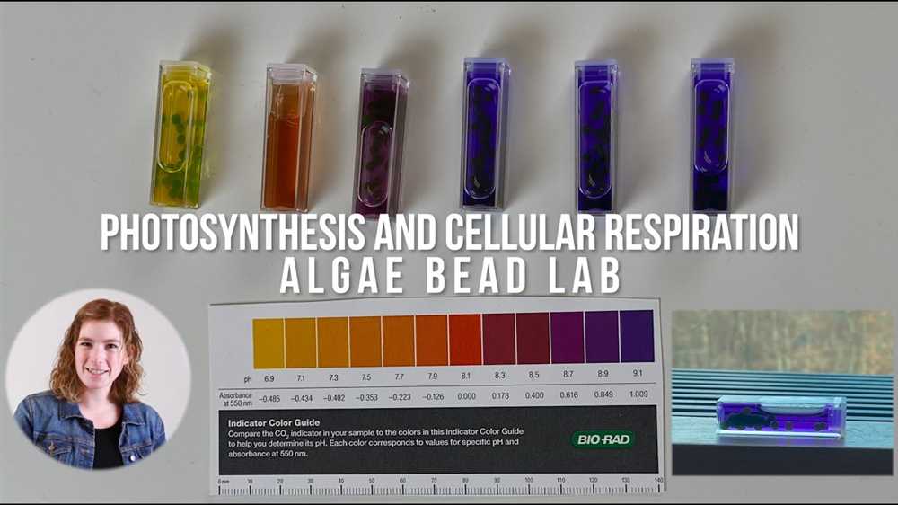 Materials and Methods Used in the Algae Bead Photosynthesis Lab