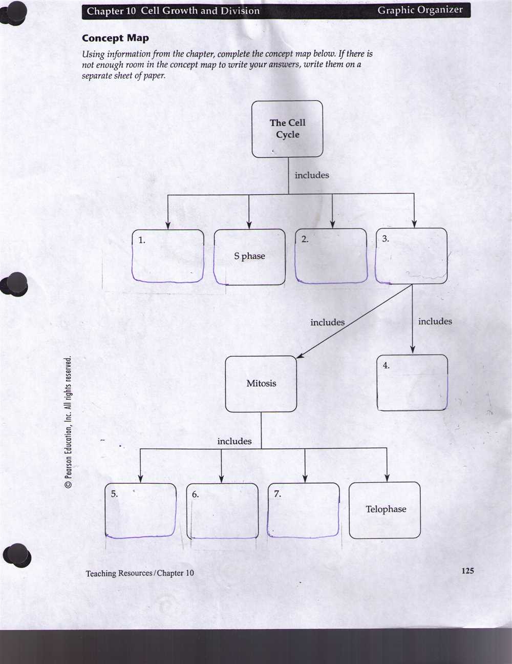 Amoeba sisters ecological succession worksheet answers