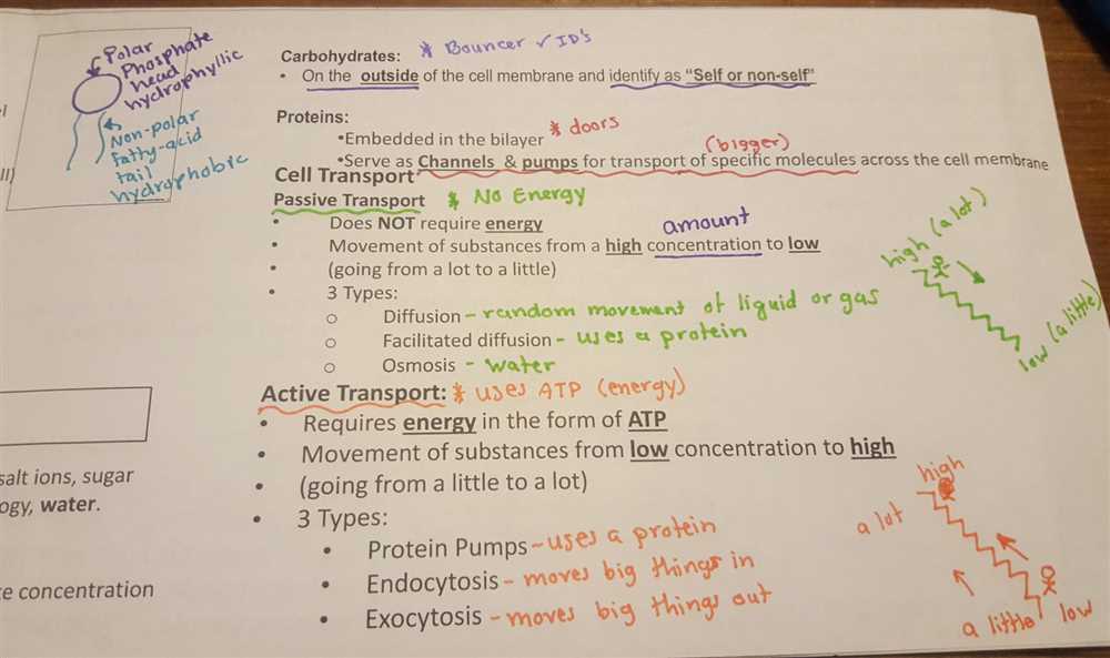 The Importance of Studying Cells