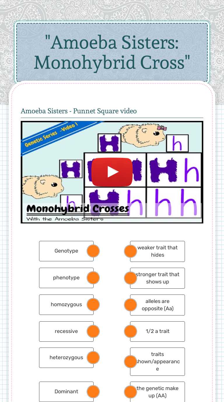 What is Mitosis?