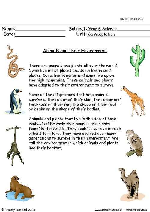 Animal farm study guide questions and answers pdf