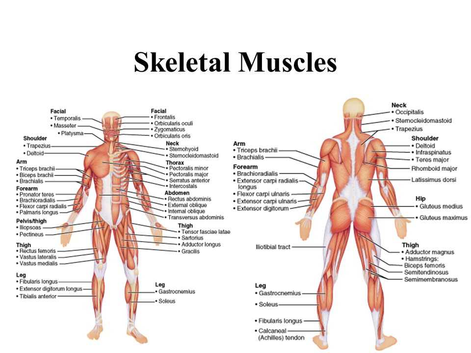 Definition and components
