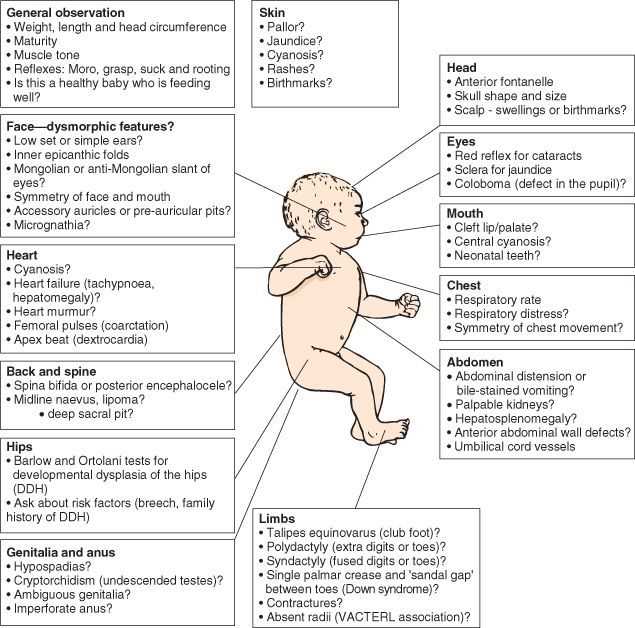 Types of Questions on the ATI Maternal Newborn Proctored Exam 2025