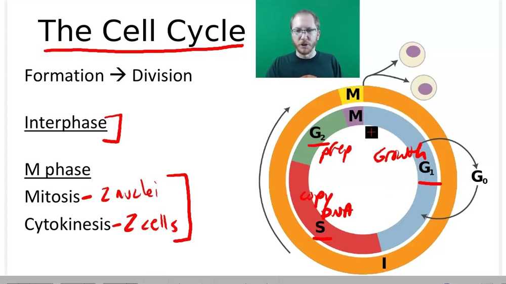 Chapter 6 AP Biology Reading Guide: Overview of Cell Membrane