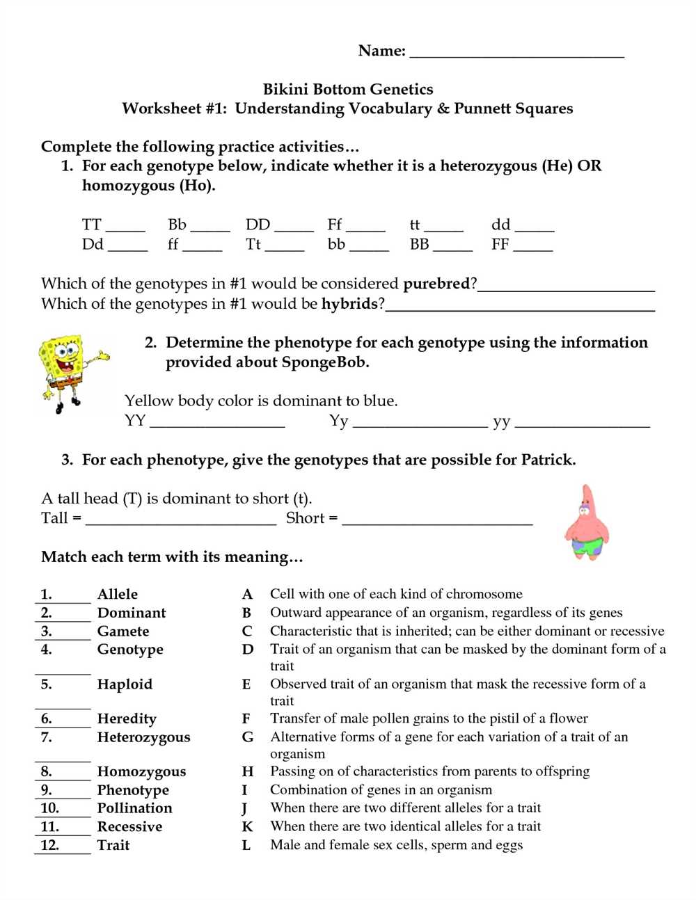 Dihybrid crosses in Bikini Bottom