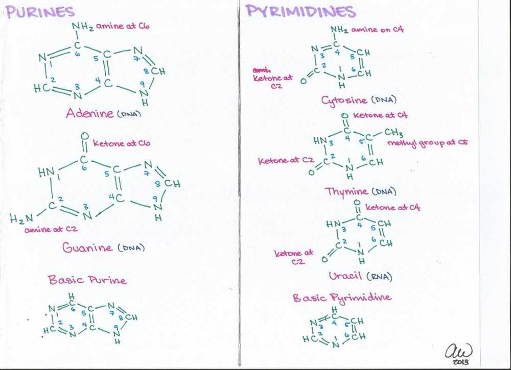 Carbohydrates: