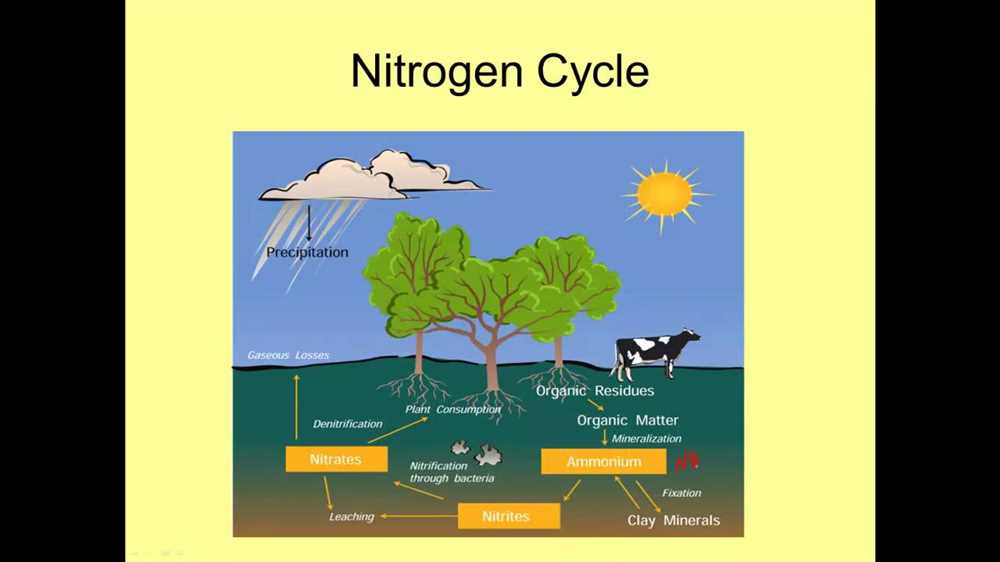 Overview of the Water Cycle