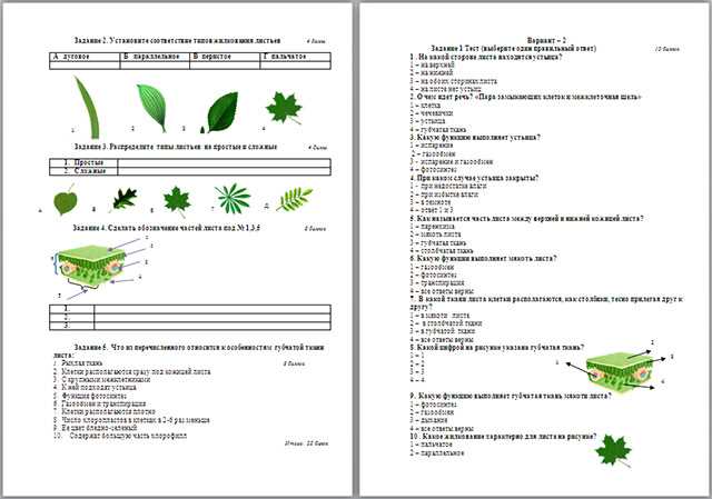 Biology 2010 sol released test answers