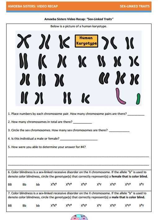 Biology eoc study guide answer key 2025