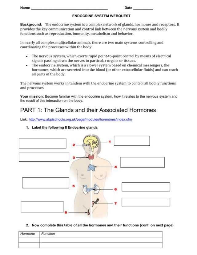 Biotechnology Webquest Answers Key