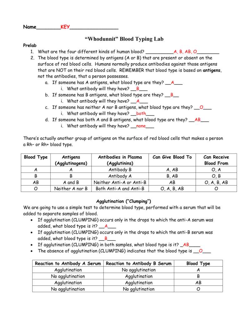 Understanding Blood Types