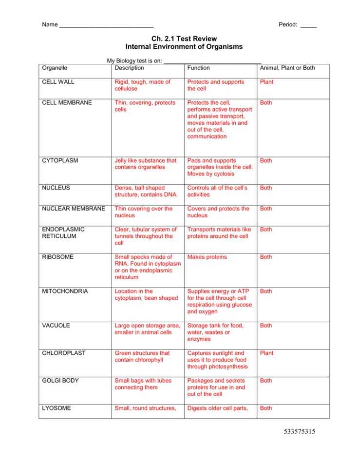 Understanding Cell Organelles