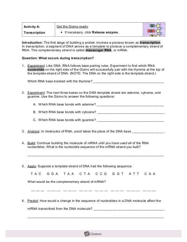 Carbon cycle gizmo answer key activity b