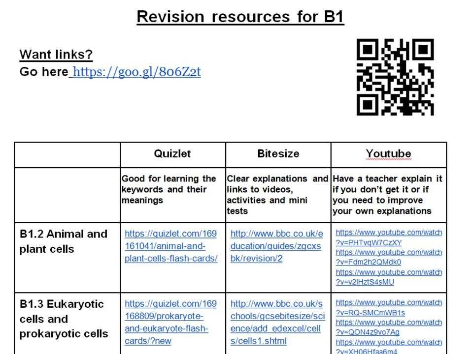 Cell transport study guide answer key