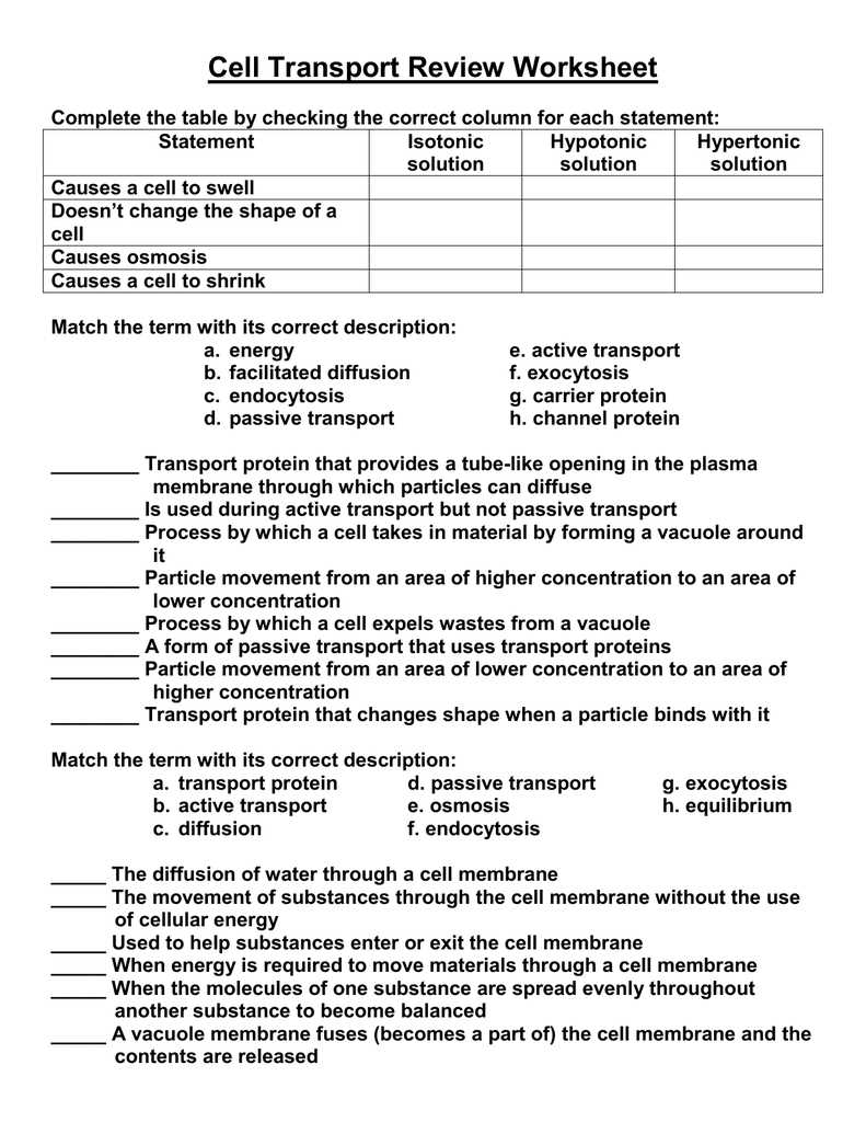 Cell transport test answer key