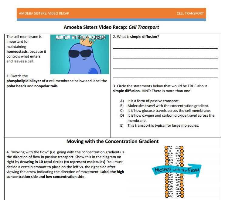 Cell transport webquest answer key