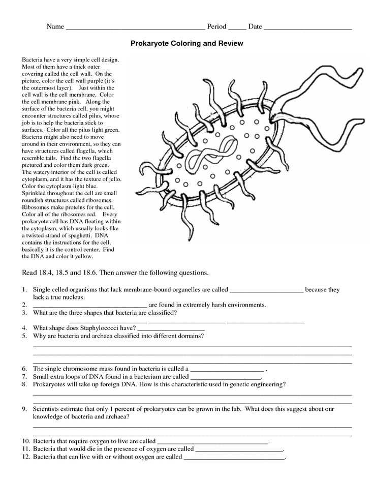 Chapter 6 ap biology reading guide answers