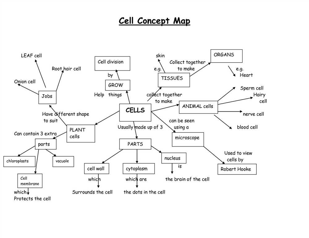 Chapter 7 section 4 cellular transport answer key