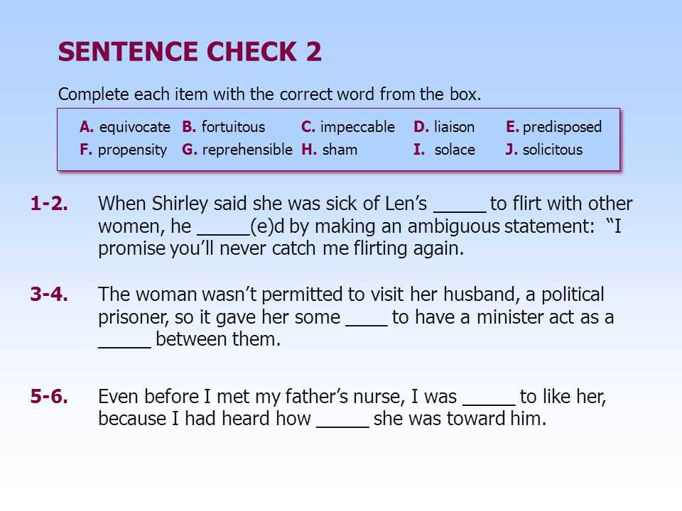 Sentence Check 2: Exercise D